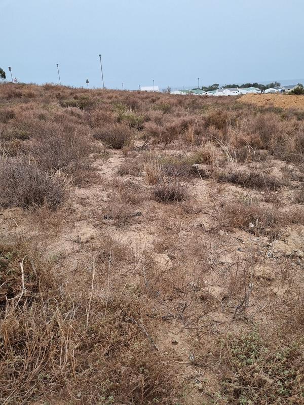 0 Bedroom Property for Sale in St Helena Views Western Cape